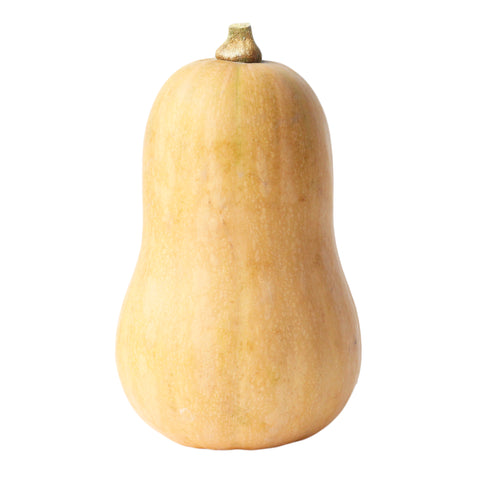 Butternut Squash 10kg