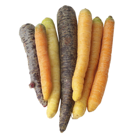 Carrots Rainbow (Washed) 5kg