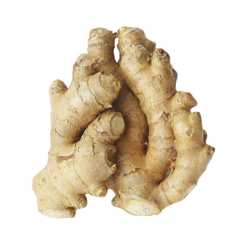 Ginger P/P 4 x 120g