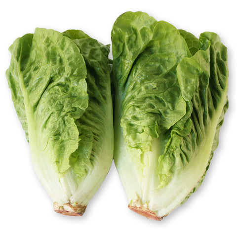 Lettuce Little Gem 12x2 Units