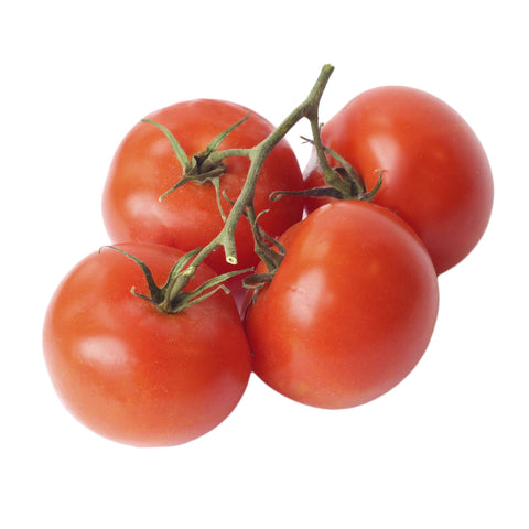 Tomatoes on the Vine P/P 4 x 450g
