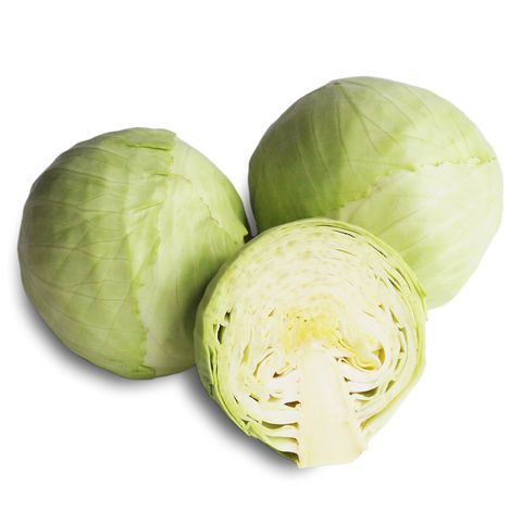 Cabbage White 10kg