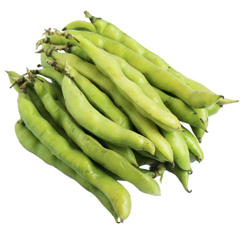 Broad Beans P/P 4 x 600g