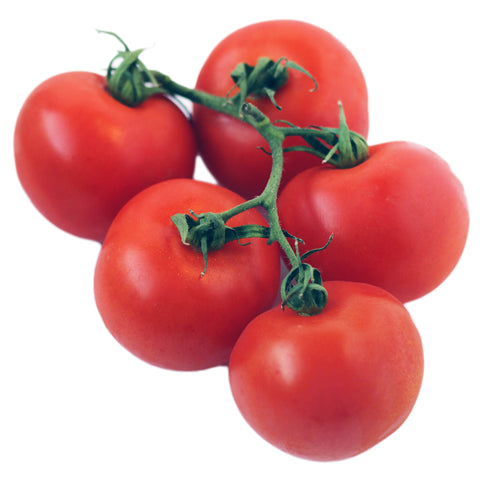 Tomatoes on the Vine 5kg