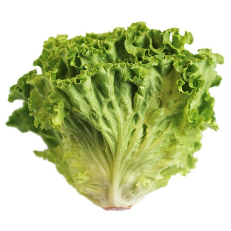 Lettuce Batavia P/P 4 Unit